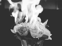 악몽의 끝에서 29_1