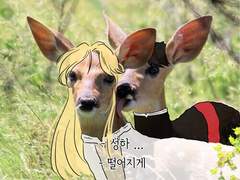 스티그마타 연성 백업