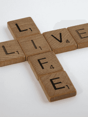 전투계열 - vīvāmus