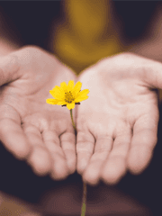 전투계열 - beneficus