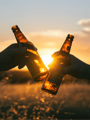 전투 보조 계열 - vino