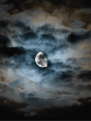 광신도 - medilúnĭa