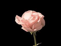 악몽의 끝에서 2주년 특별편