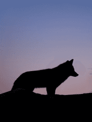 이나리자키 매니저 드림