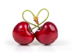 Cherry🍒 1화 [(승호,승원)&나겸]