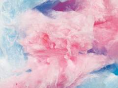 그 경계심을 조심하라고,