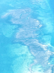 Summer Classic: 하계클래식