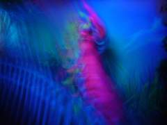 파이브바냐, Inseparable Vol. 1