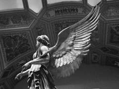 [아르테미시아 셀리나 드 팰러스/XX/마법/남작]