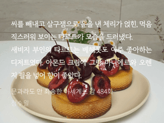 [문송안함] 새비지 부인의 체리타르트 만들어 본 후기