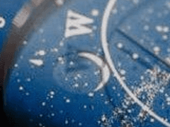 Walters deil(데일 월터스)::1학년::XY