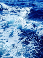 후회의 바다 속