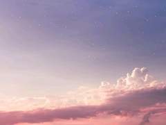 투명한 달에 삼켜진 나는