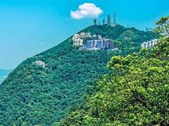 빅토리아 피크 개인 여행