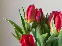 저 고백할거니까 들어주세요!!