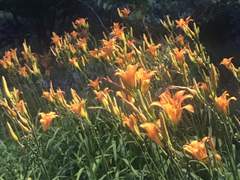 당신이 있는 곳이라면 어디라도