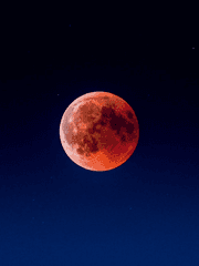 피가 그리운 날