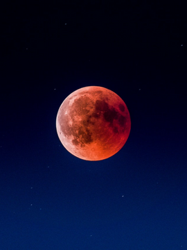 피가 그리운 날