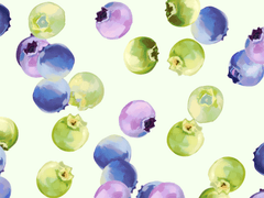 랄미 블루베리 브러쉬