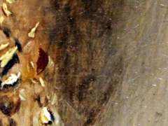 귀찮은 일은 저도 원하지 않아요.