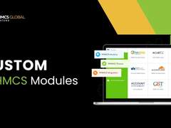 Custom Whmcs Modules