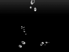 나의 또 다른 염원은.