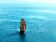 아루 🦈 無 🦈 불명(외 17~18)