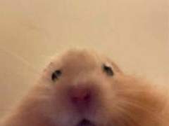 금쪽이가 집중력 폭발할 때 옆에서 방해하면?