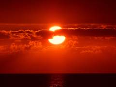 도화일/Xy/3학년