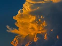 열살, 아직은 어린 그 시절.