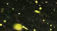 빛나는 내 친구, 이안에게!