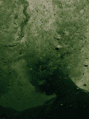 문을 여는 자들 - 코그 모르페