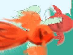 느린 금붕어의 시간