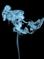 피카츄 사주세요