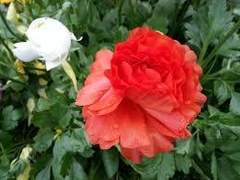 ... 난 이런 쪽에는 소질없는데.