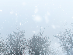 겨울 고정틀 커미션