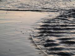 겨울 바다에 갔었다.