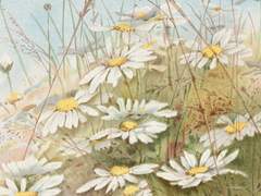 쟈스민 L V 플라워 레드베리 ♪ 여성 ♪ 마법 ♪ 백작