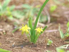 맨디 이안 | 23 | XY