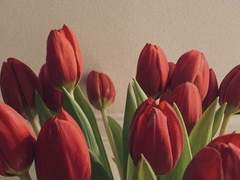 Dear. Valid N. Lifried