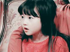 Autumn, Bird, Candy,