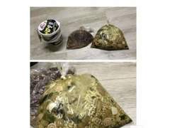 본격 란이 린도 도시락 싸주는 글