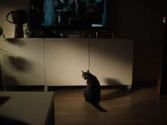 #트친이_주는_첫문장으로_글쓰기