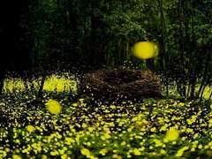 천칭같은 이안에게!