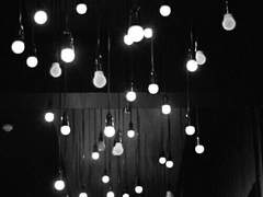 이게 뭐로 보이세요?