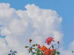 이번엔 너의 빛이 되어줄게