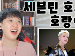 세븐틴 호시(SEVENTEEN HOSHI) '호랑이(Tiger)' 무대 리액션 STAGE REACTION