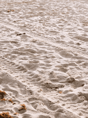 개발새발개발생활