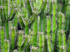 공부가 되고 상식이 되는! 시리즈 18번째 이야기를 읽고서.