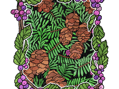 좀작살나무 프레임